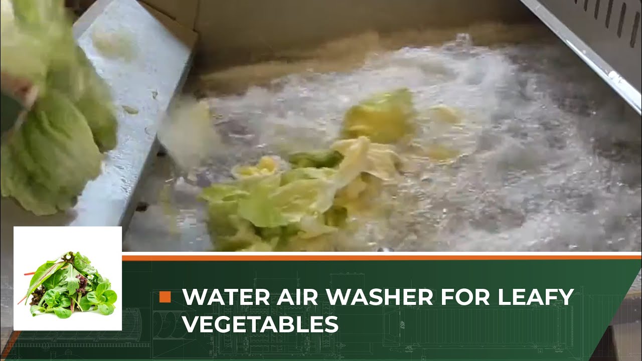 Myjka wodno-powietrzna do warzyw liściastych / WATER AIR WASHER FOR LEAFY VEGETABLES
