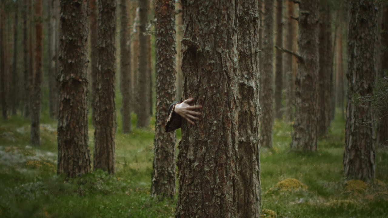 Hide and Seek - short film - #GearFocusFilmContest