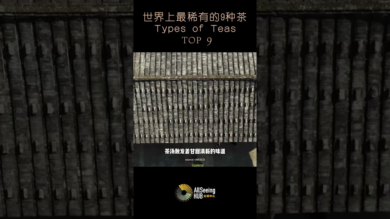 世界上最稀有的9种茶 Teas - Tienchi Flower Tea / 天池花茶 /  中国云南 / 广西/品茶/饮料/饮品/最贵/健康/顶级/水/喝/高雅/美味/养生/泡茶/喝茶/茶树/叶子