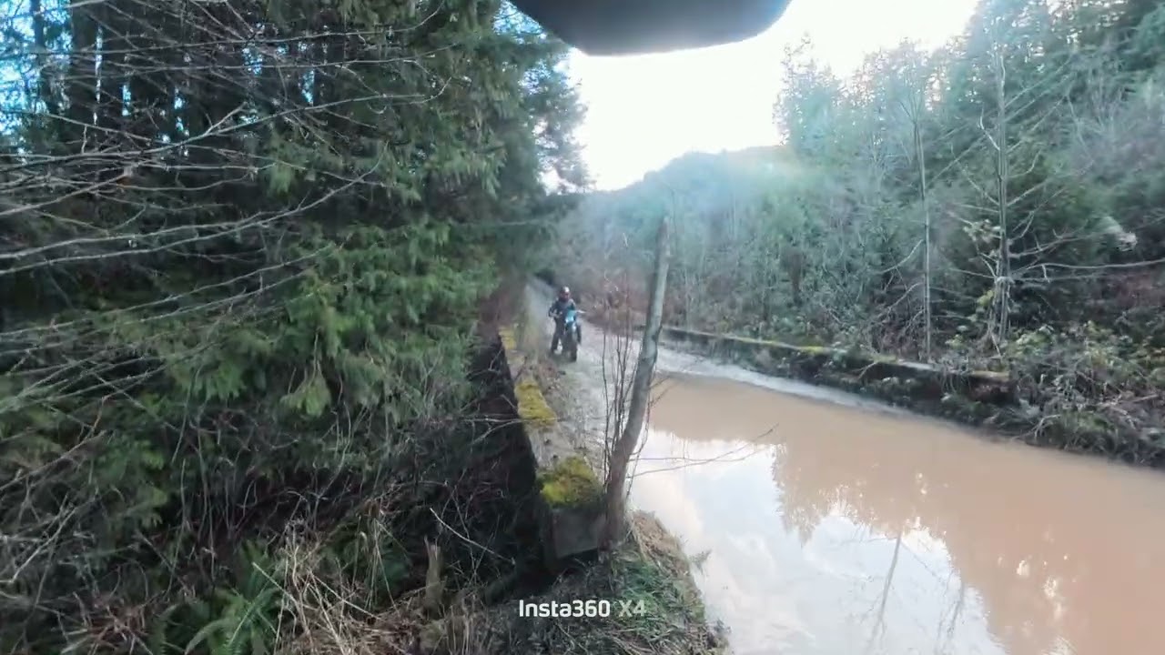Crf250l logging roads adventure #insta360 #dirtbike #subscribe #viralvideo #dualsport #viral 