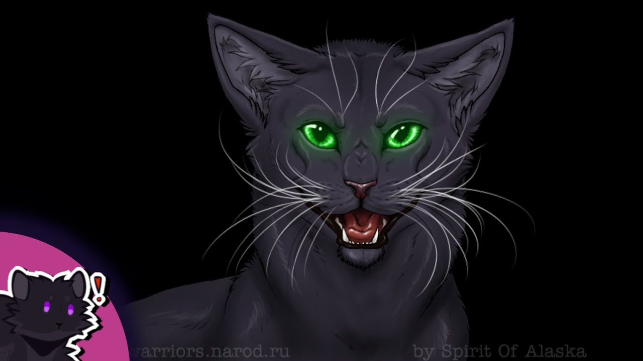 Distelblatts Geschichte (Zusammenfassung)  | Warrior Cats