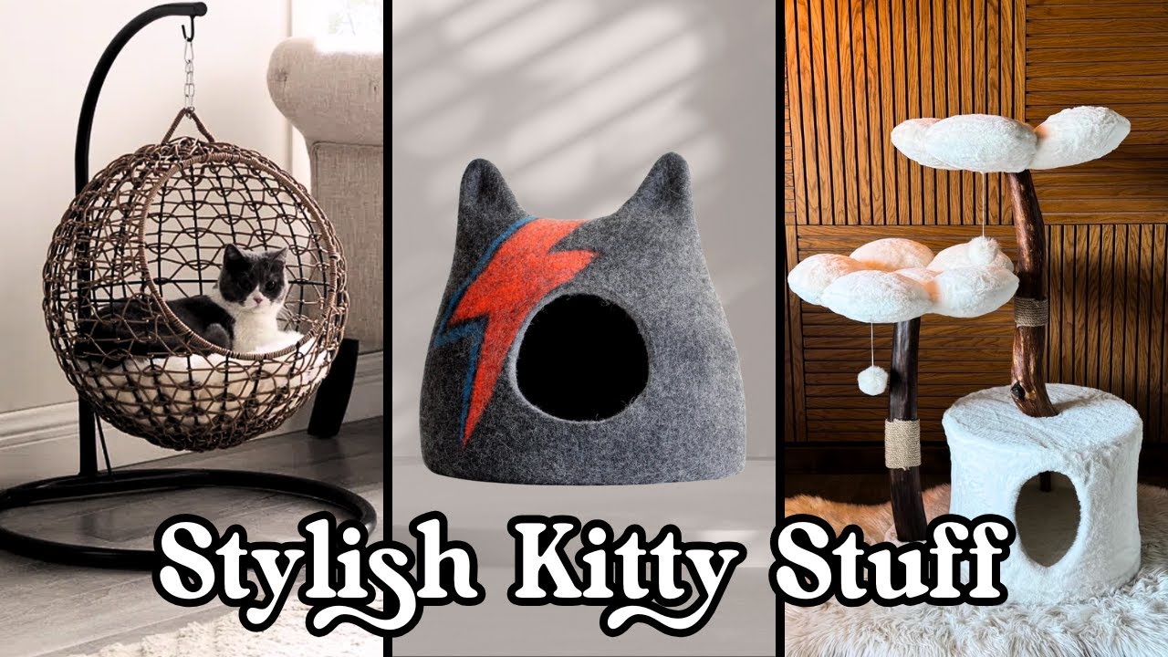 Cute Cat Furniture That Will Complement Your Apartment Decor & Make Your Kitty Happy 😽