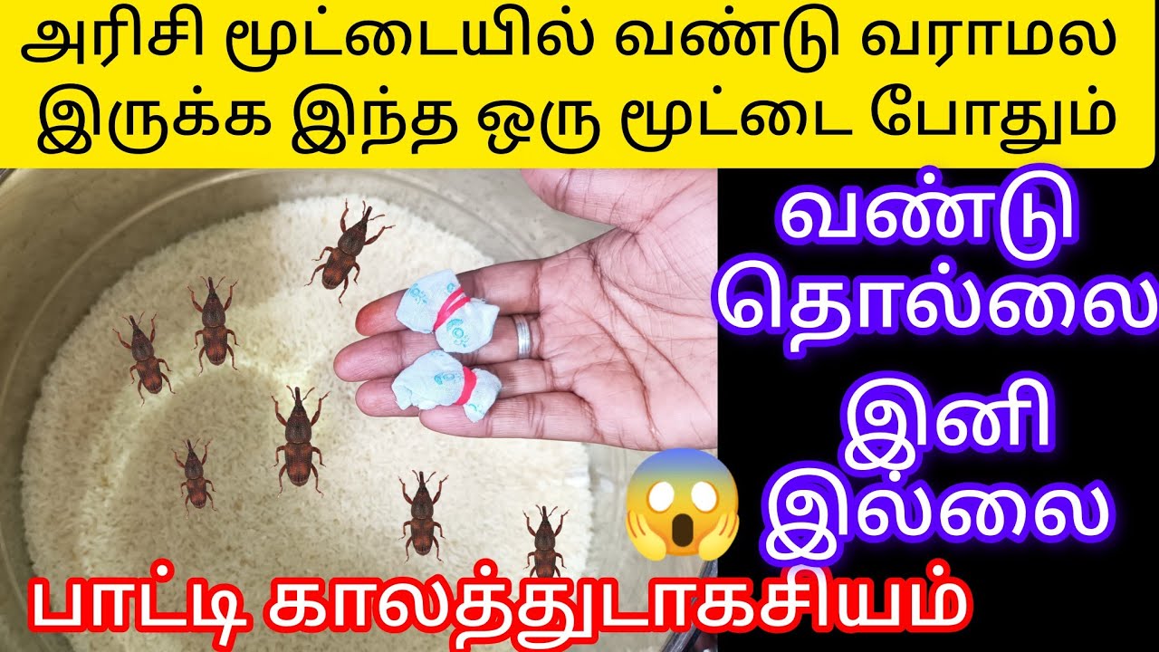 அரிசி மூட்டையில் வண்டு வராமல இருக்க இந்த ஒரு மூட்டை போதும்/kitchentipstamil@keerthisaratips5728 