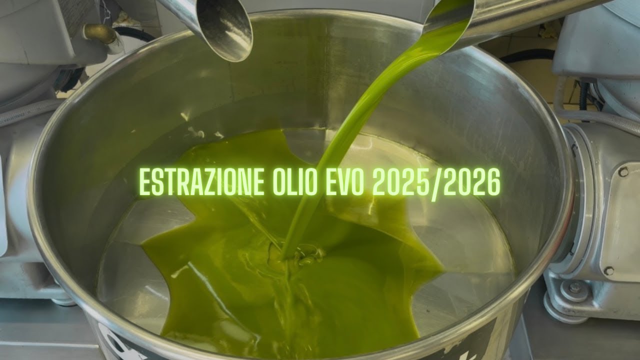 FRANTOIO CARDINALI OLIO 2025/2026 ALFA LAVAL | CLEMENTE