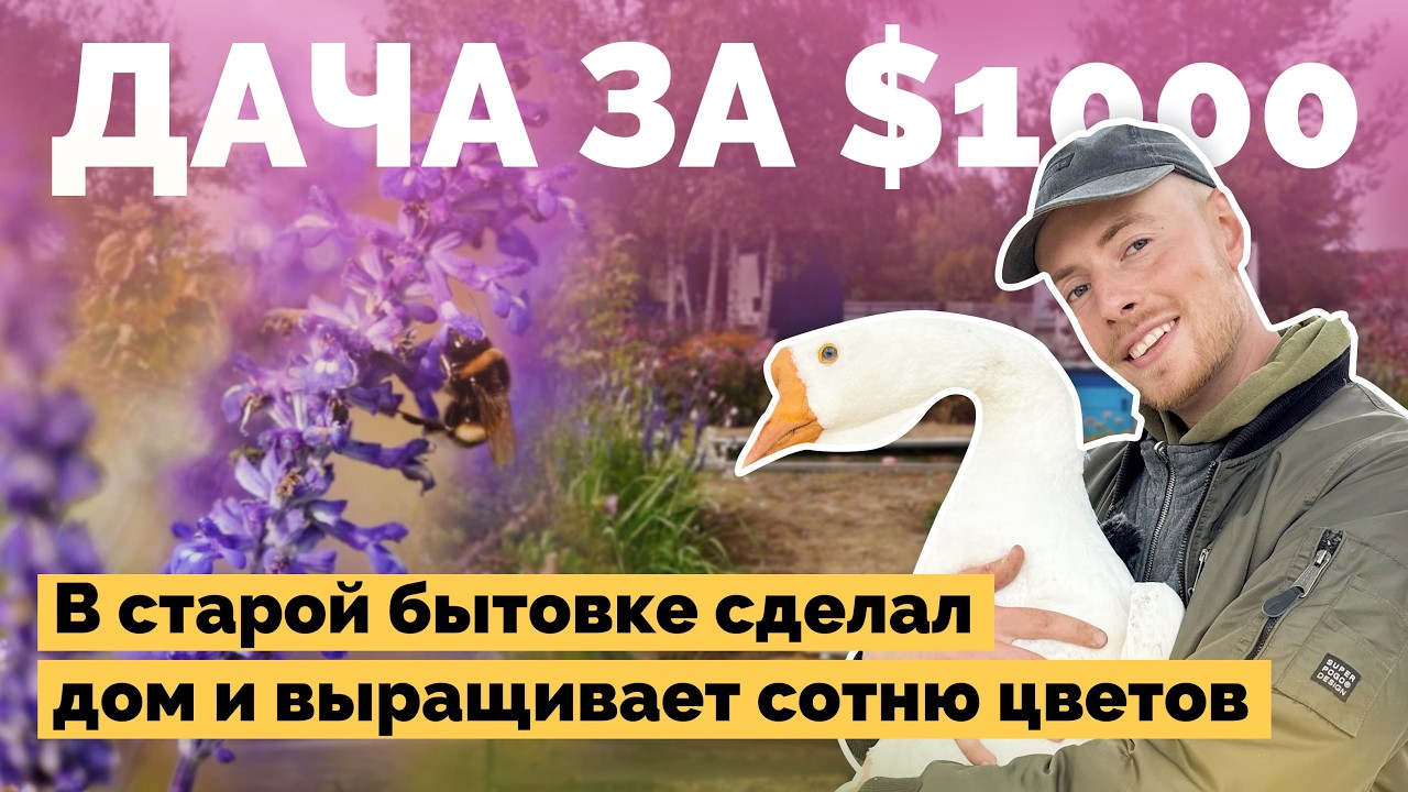 Построил уютную дачу из старой бытовки и выращивает овощи, цветы и огромные тыквы