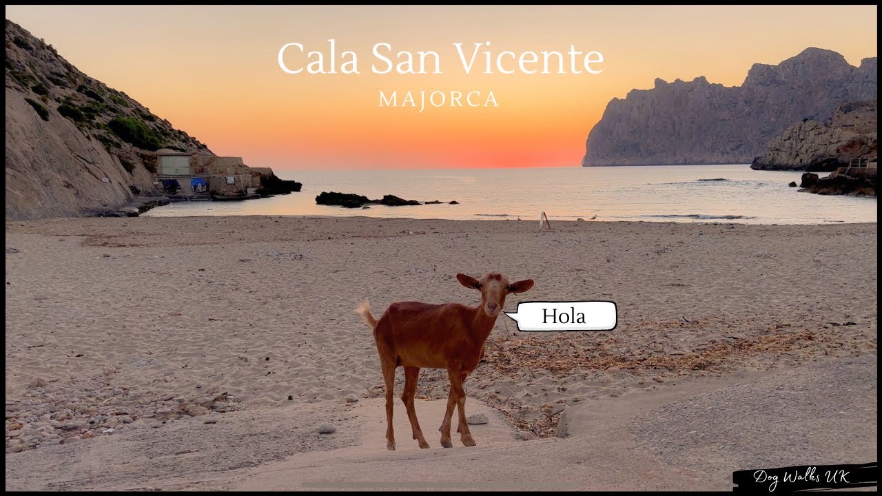 Explore Cala San Vicente, Majorca - An Early Morning Beach Walk