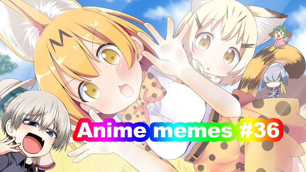 Anime [memes] #36