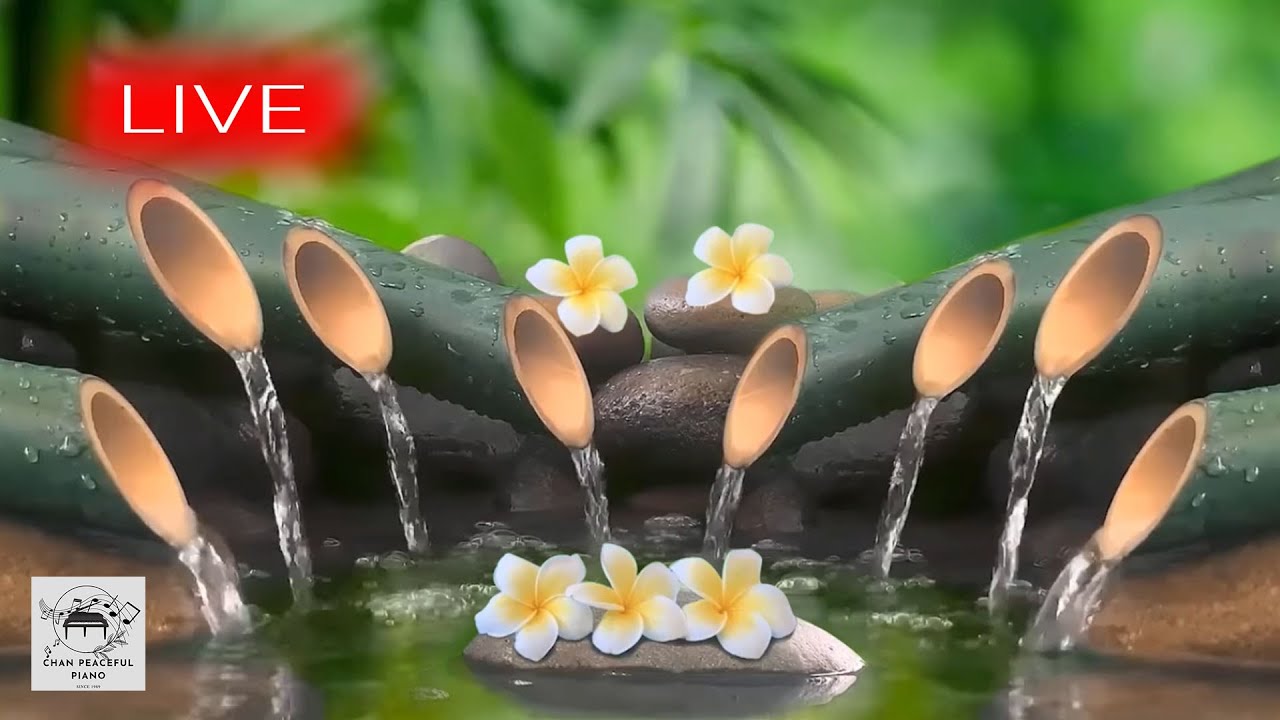 🔴 Relaxing Music 24/7 - Nature Soul, Healing Music, Meditation Music, Spa Music, Sleep, Study Music