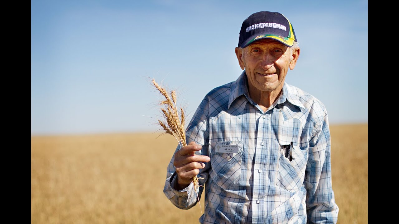 Organic Sprouted Vegan Wheat | Schmidt Family Farm