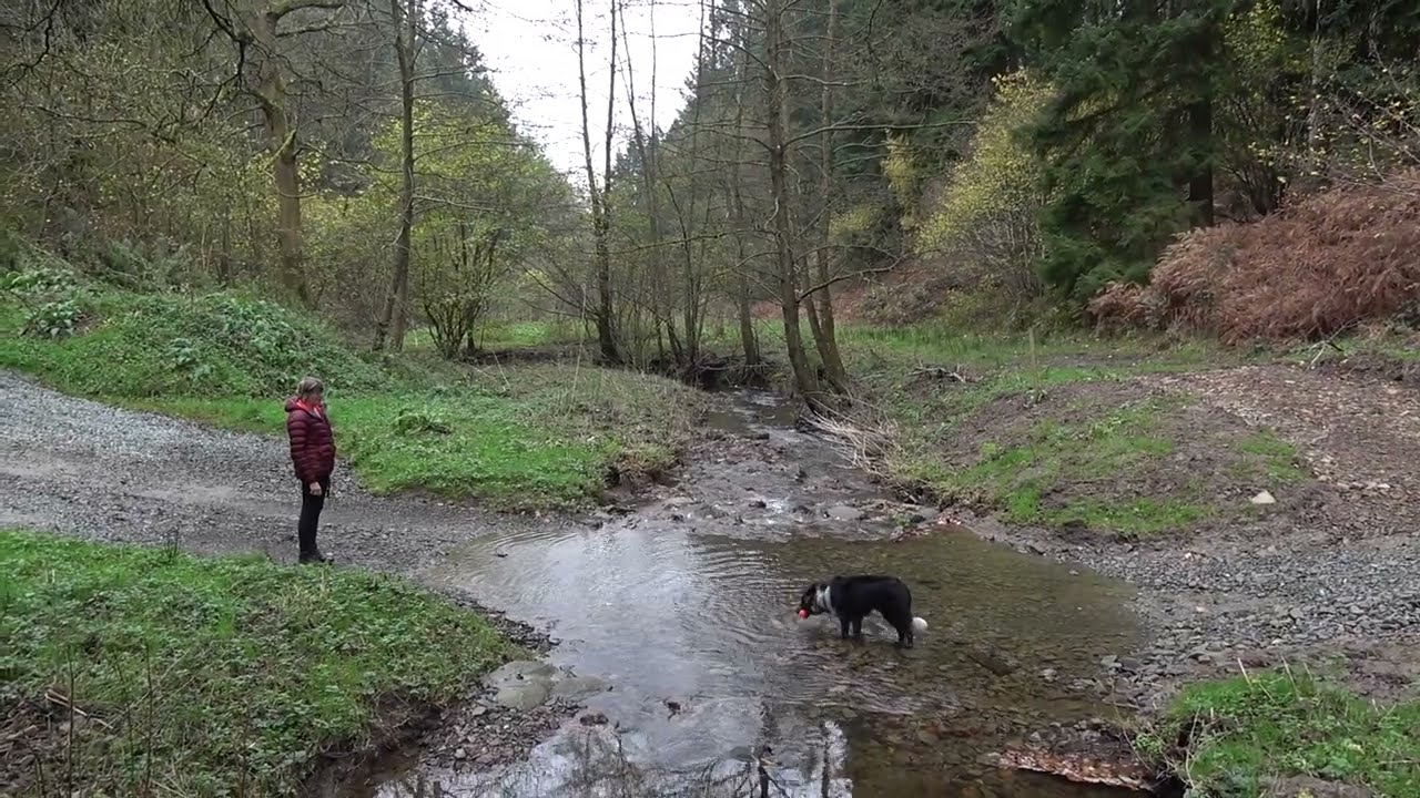 First Walks