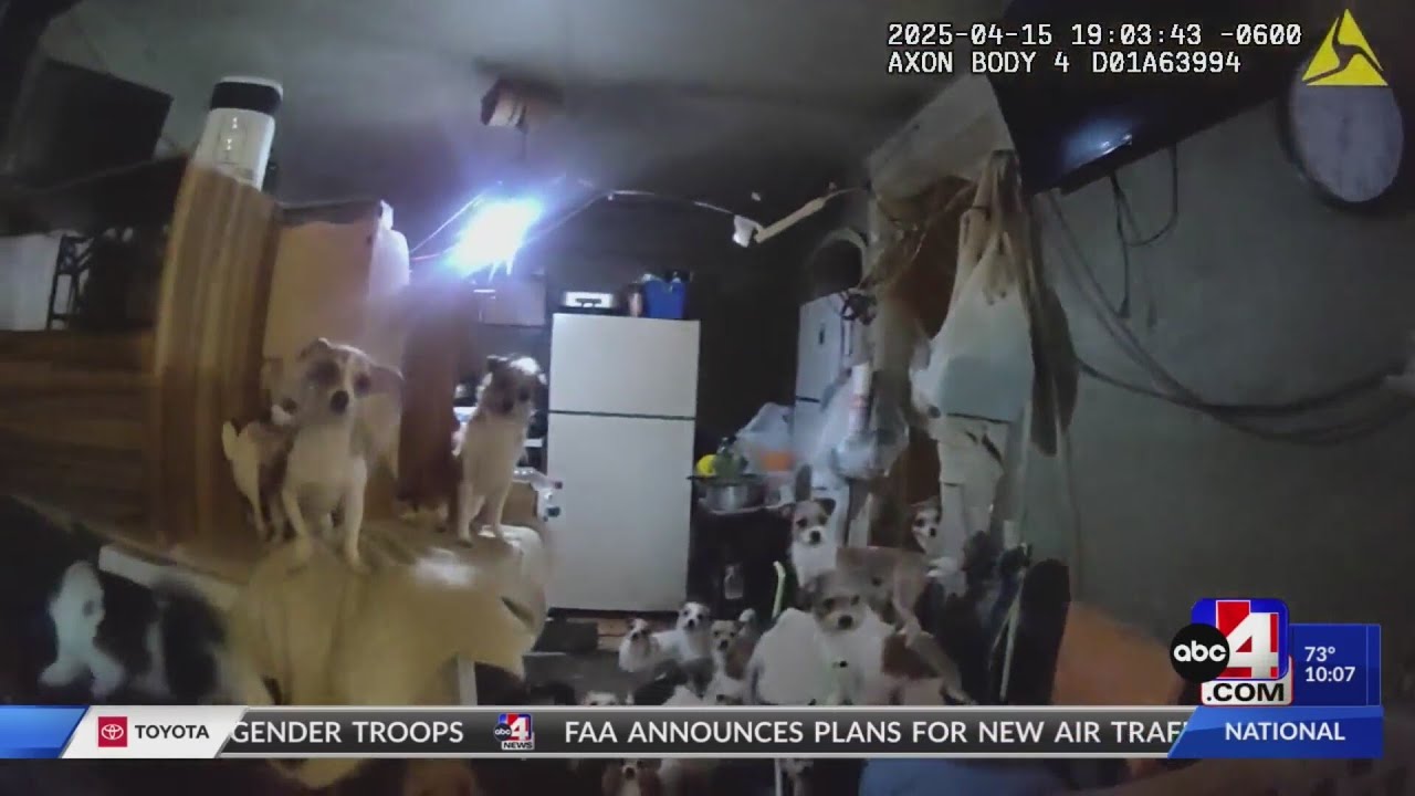 Ogden PD release body cam video of dogs found in hoarding situation