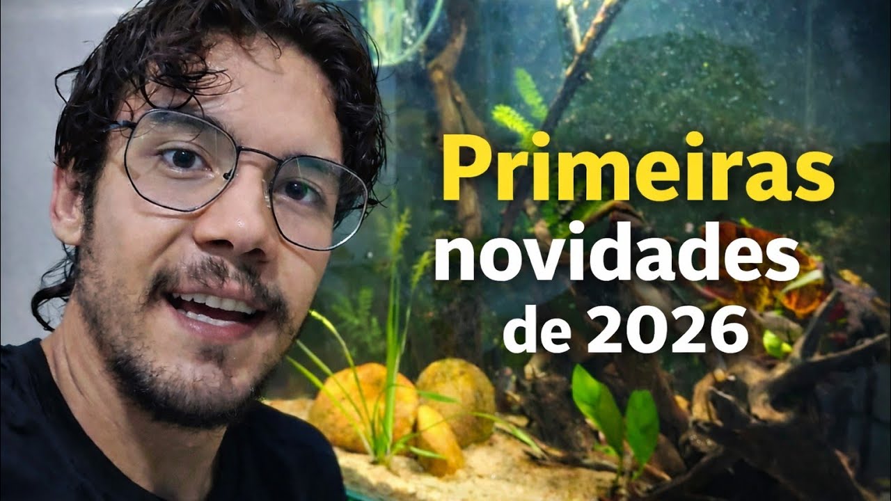 Tirei os Nicaraguensis e Entrei com Gymnogeophagus Balzanii | Resultado nos Aquários de 400L e 220L
