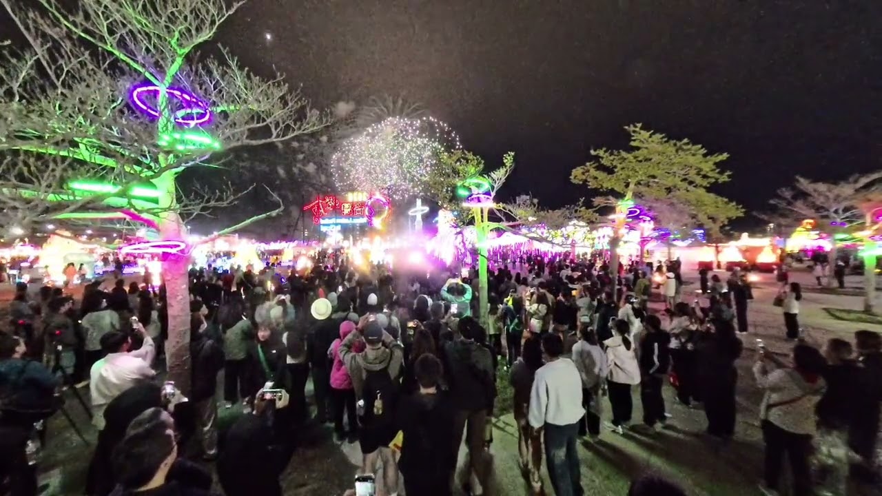 嘉義燈會2026-03-03