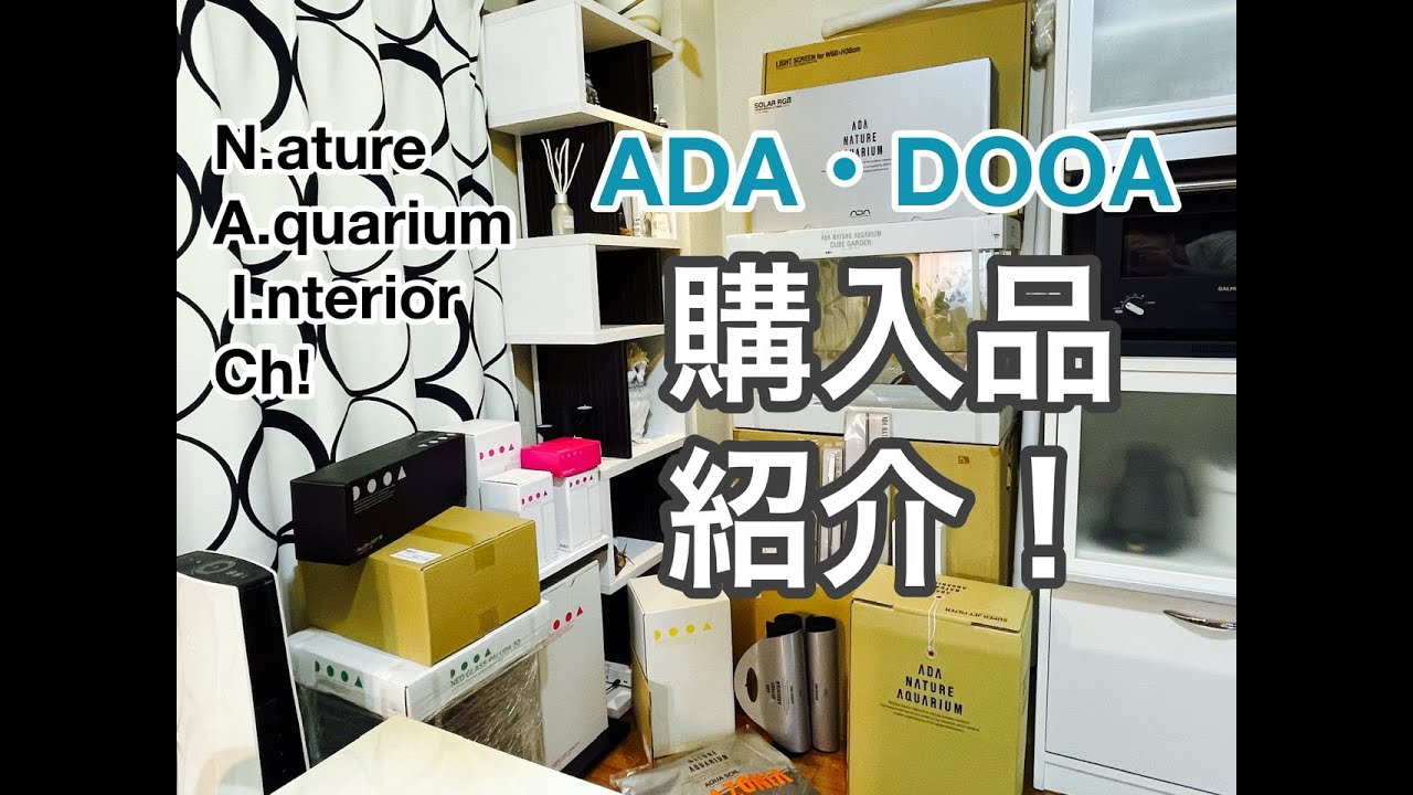 ADA・DOOA購入品紹介！#アクアリウム#パルダリウム