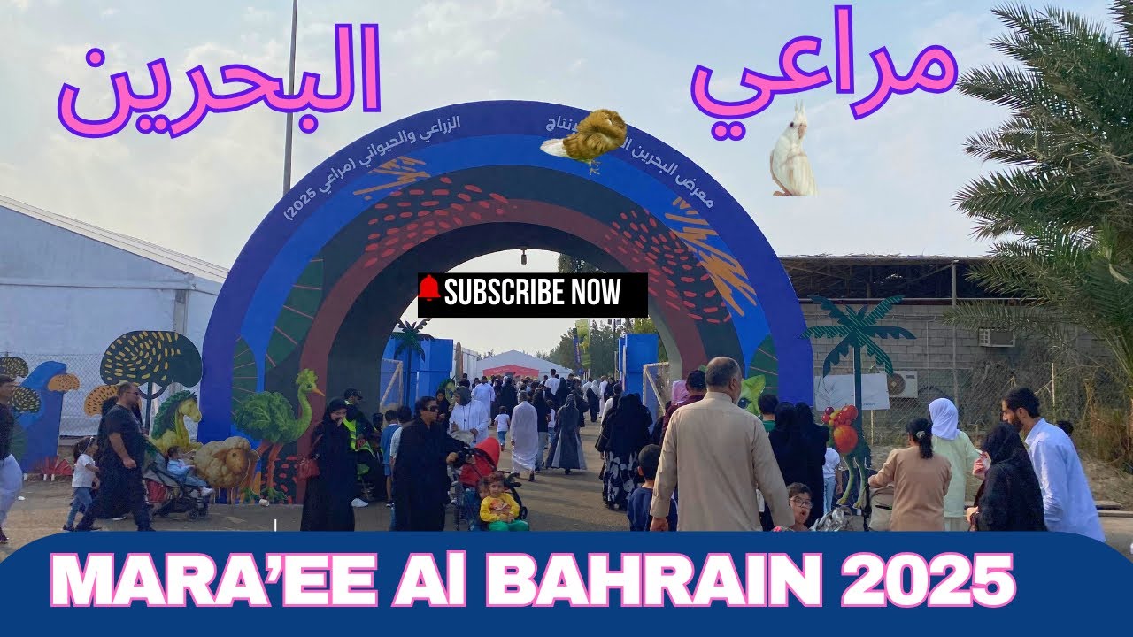 Amazing Cattle Show at Mara’ee Bahrain | فعالية مراعي البحرين #marae #مراعي #البحرين #bahrain 