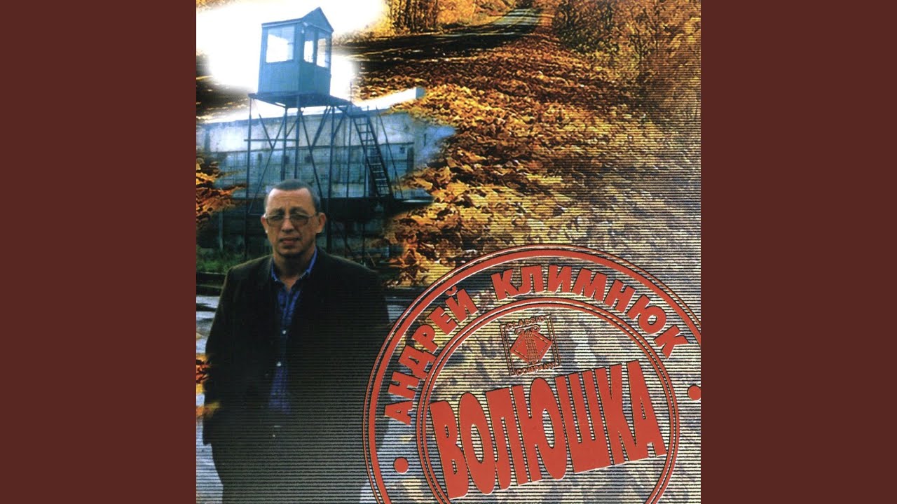 Вор-карманник