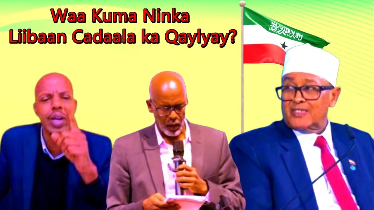 Waa Kuma Mr. Gaabuush Ninka Liibaan Cadaala aadka uga Qaylyey?