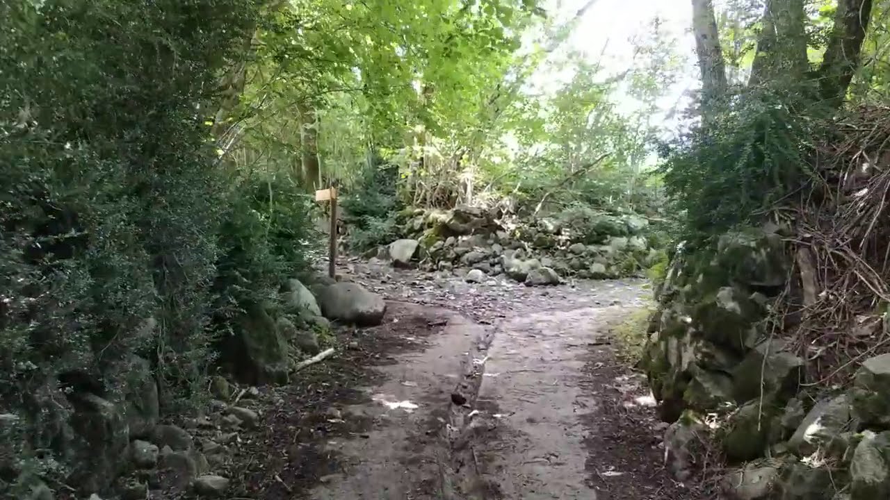 Selva de Anciles 4k