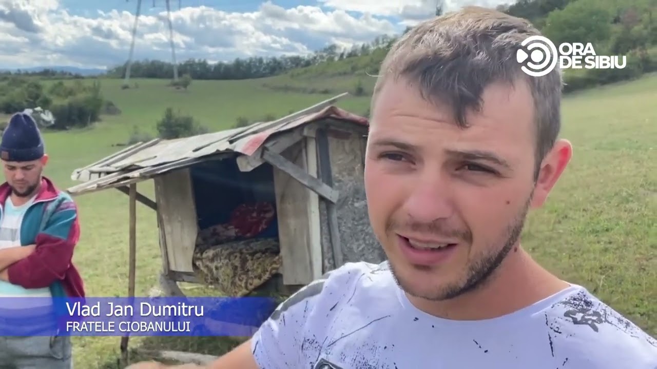 Pe urmele urșilor din Dealul Gușteriței &ndash; Zeci de capre, sf&acirc;șiate