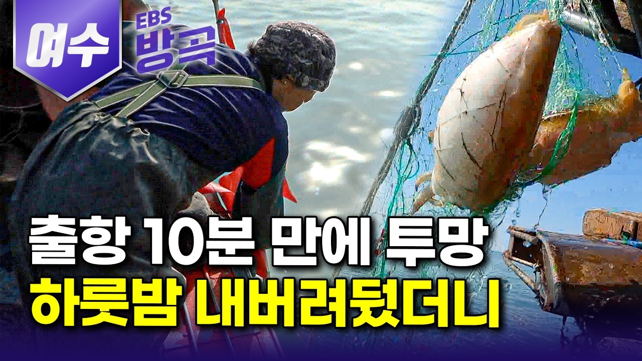 [전남 여수] 