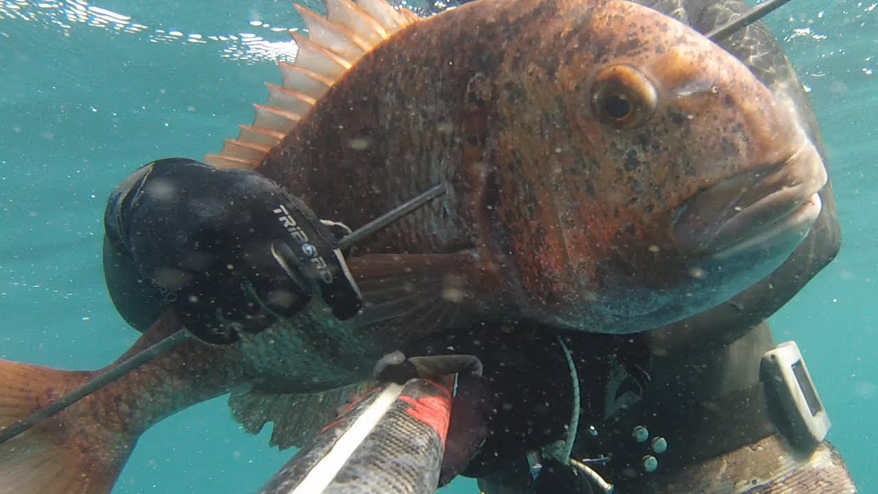 LA PESCA DE LA URTA