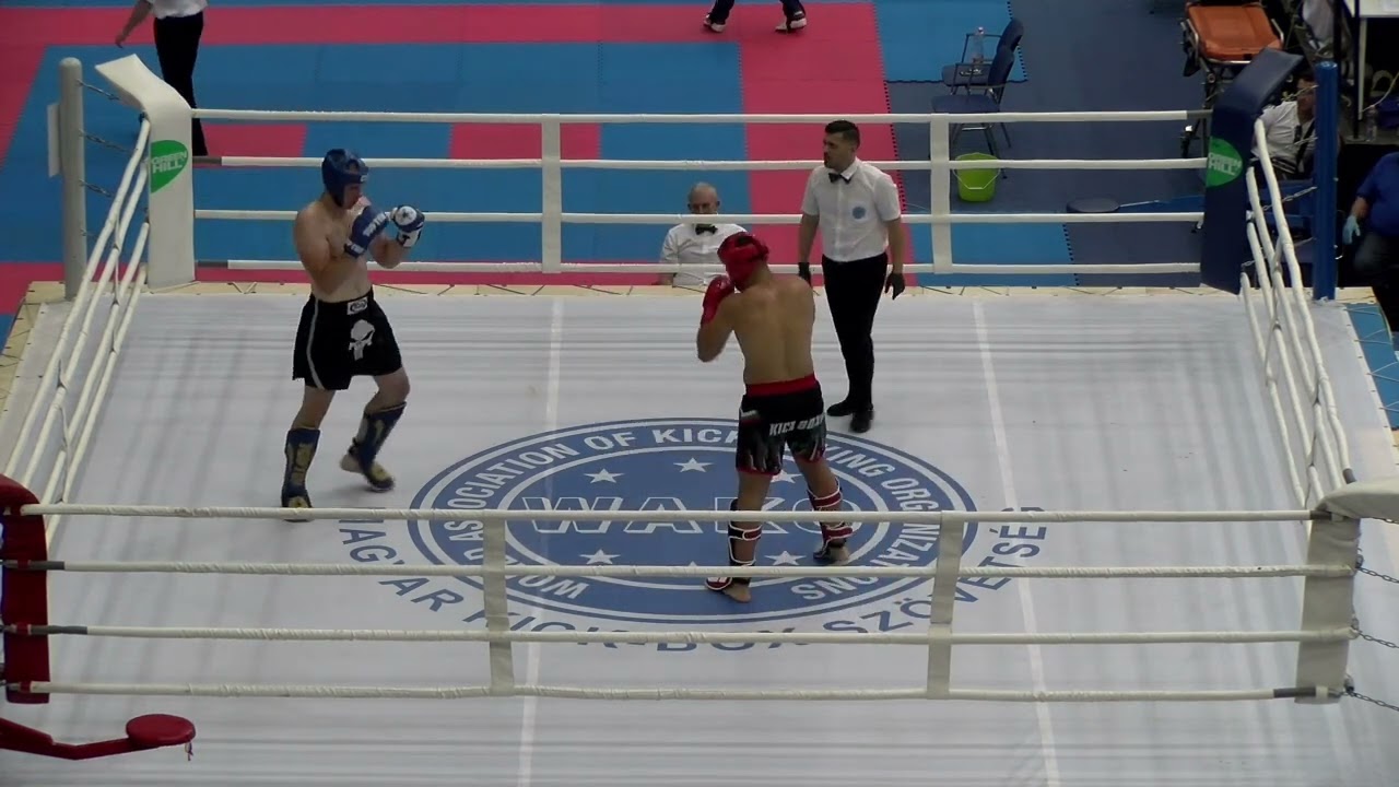Metodi Georgiev v Vasilije Krajnovic Hungarian World Cup 2024