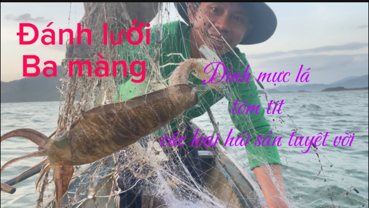 Đánh lưới dính mực lá và nhiều loại hải sản khác quá tuyệt vời 