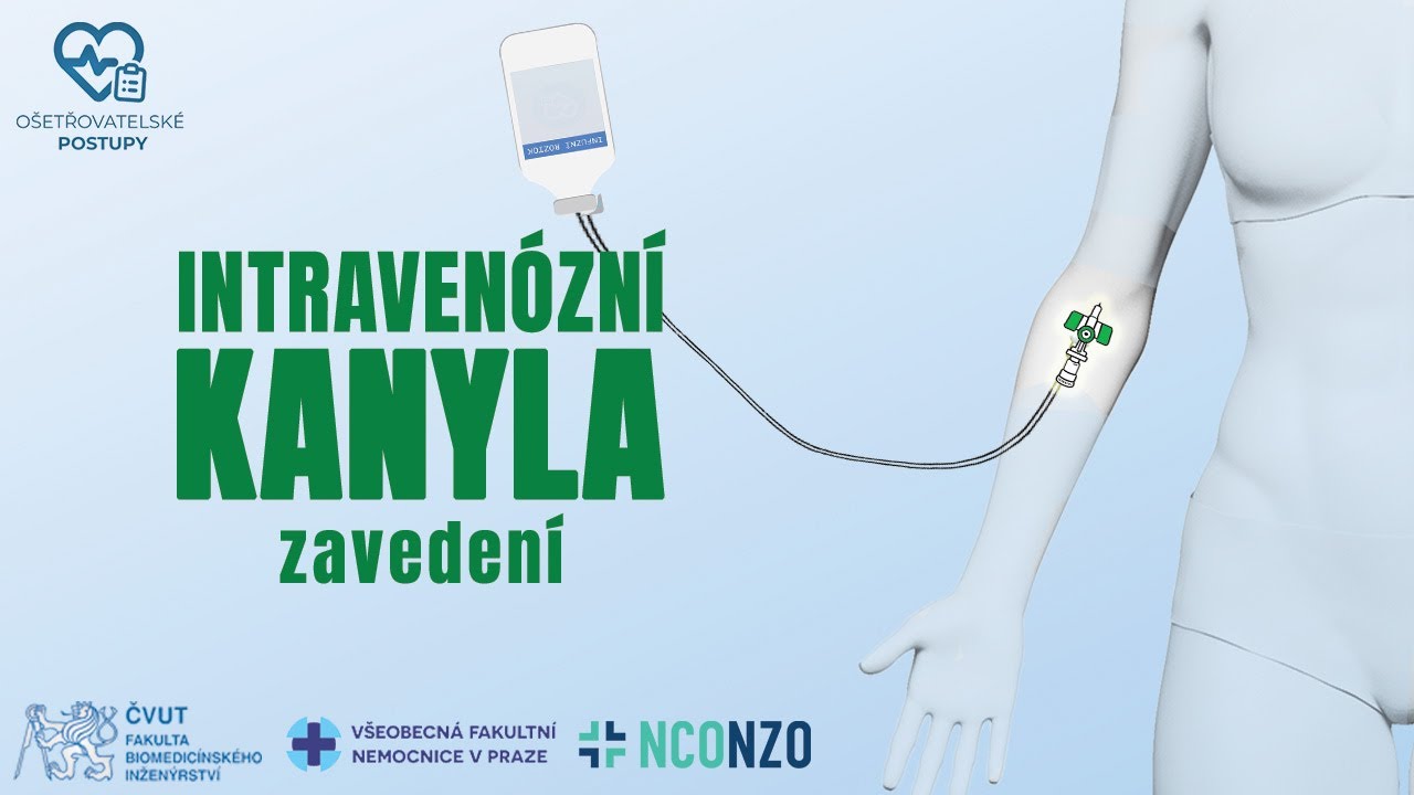 🇨🇿 (CZ) | KRÁTKÉ PERIFERNÍ ŽILNÍ KATÉTRY 2/4 (zavedení)🩸🩹 | OŠETŘOVATELSKÉ POSTUPY