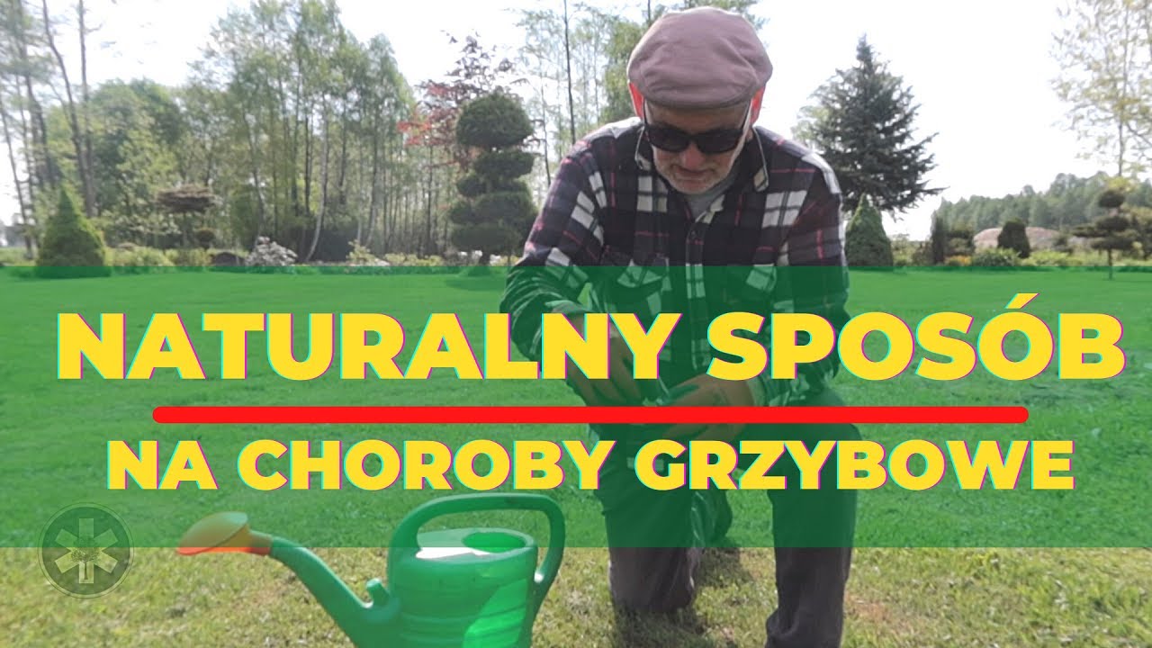 Naturalny sposób na choroby grzybowe u roślin