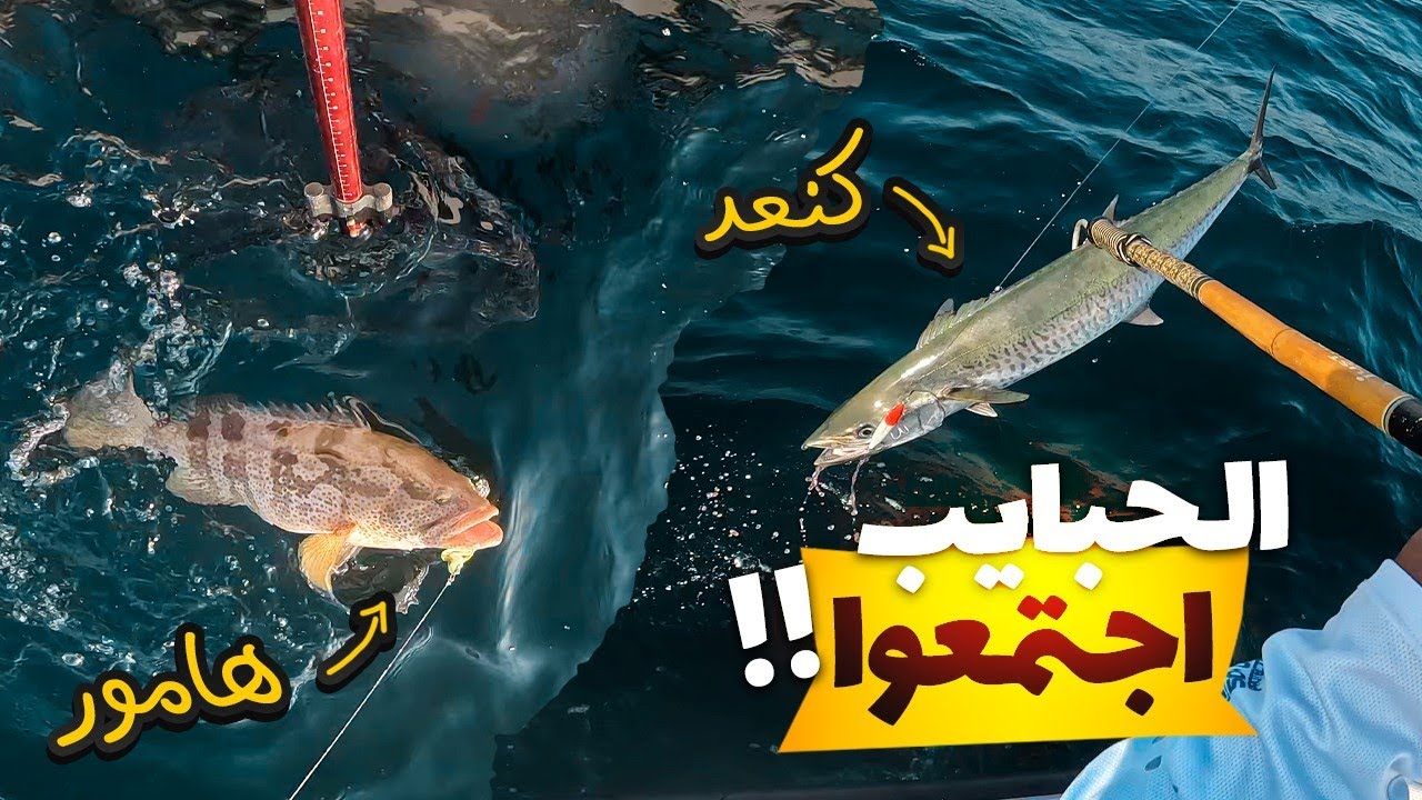 الصيد في ابو ظبي غير