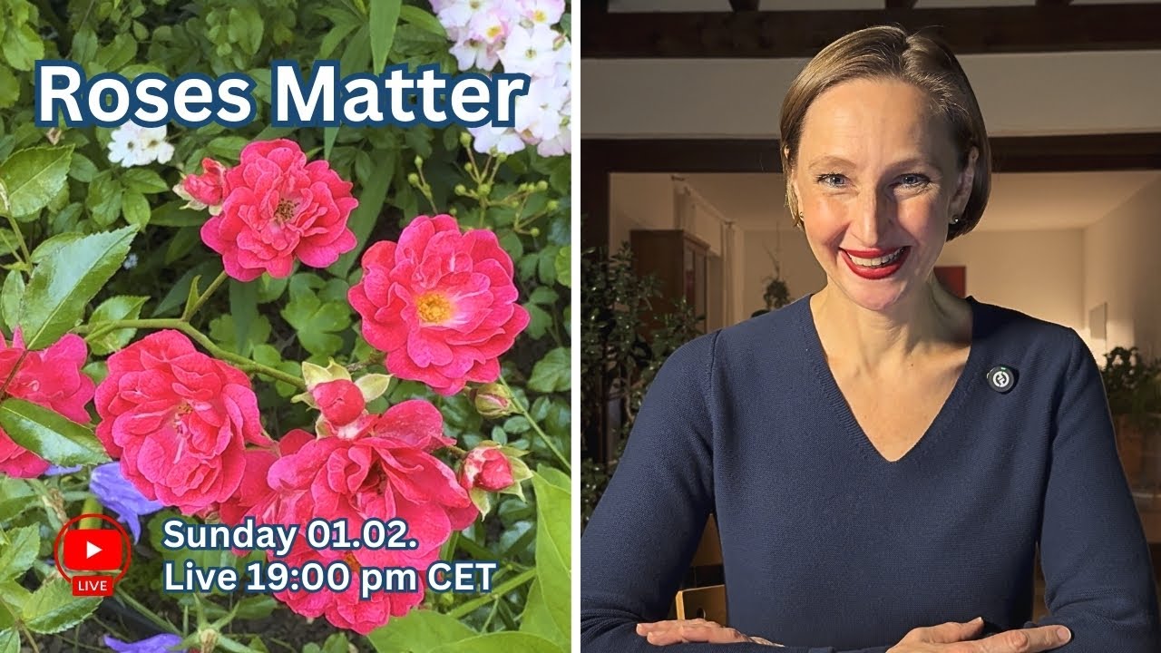 Why Roses Matter More Than We Think 🌹