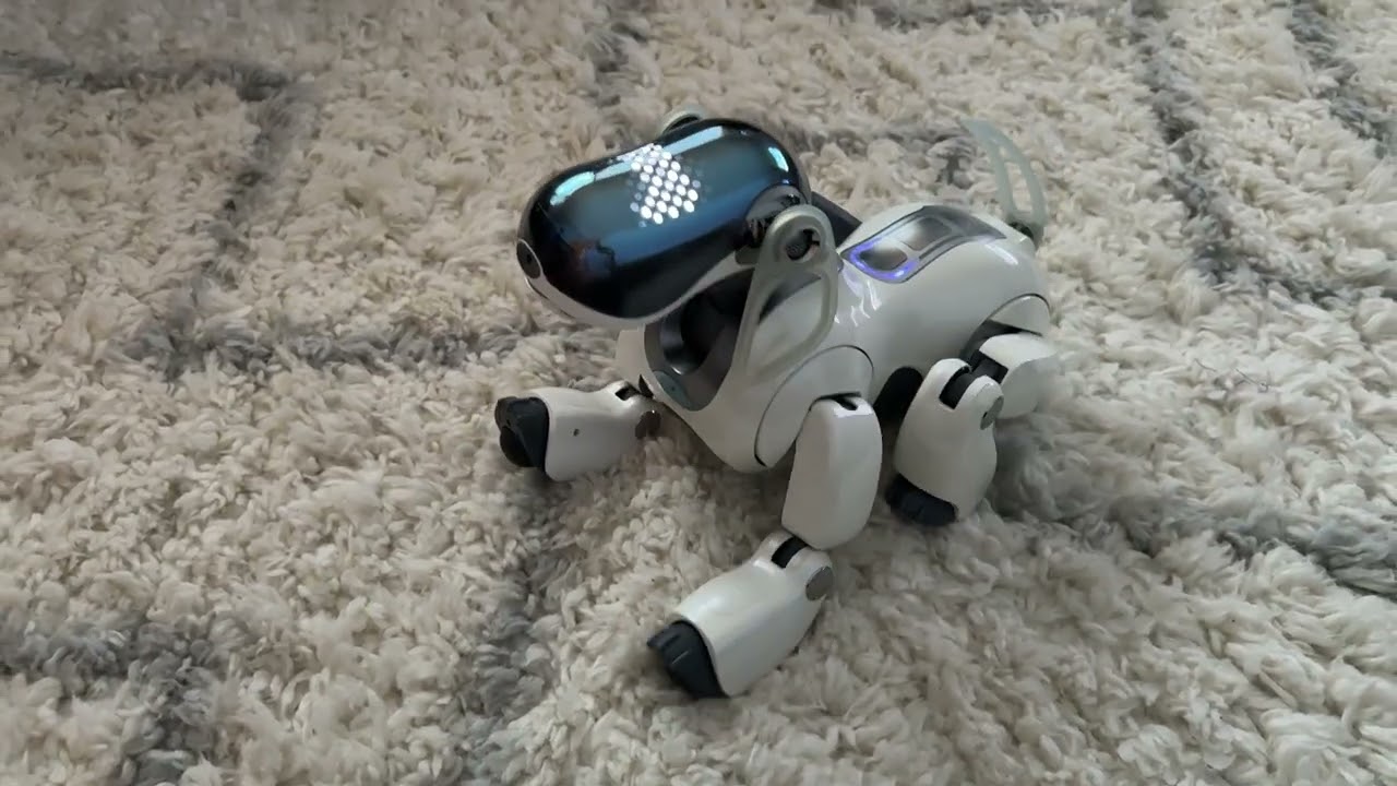 Sony Aibo ERS-7 Eris in next stage of progression