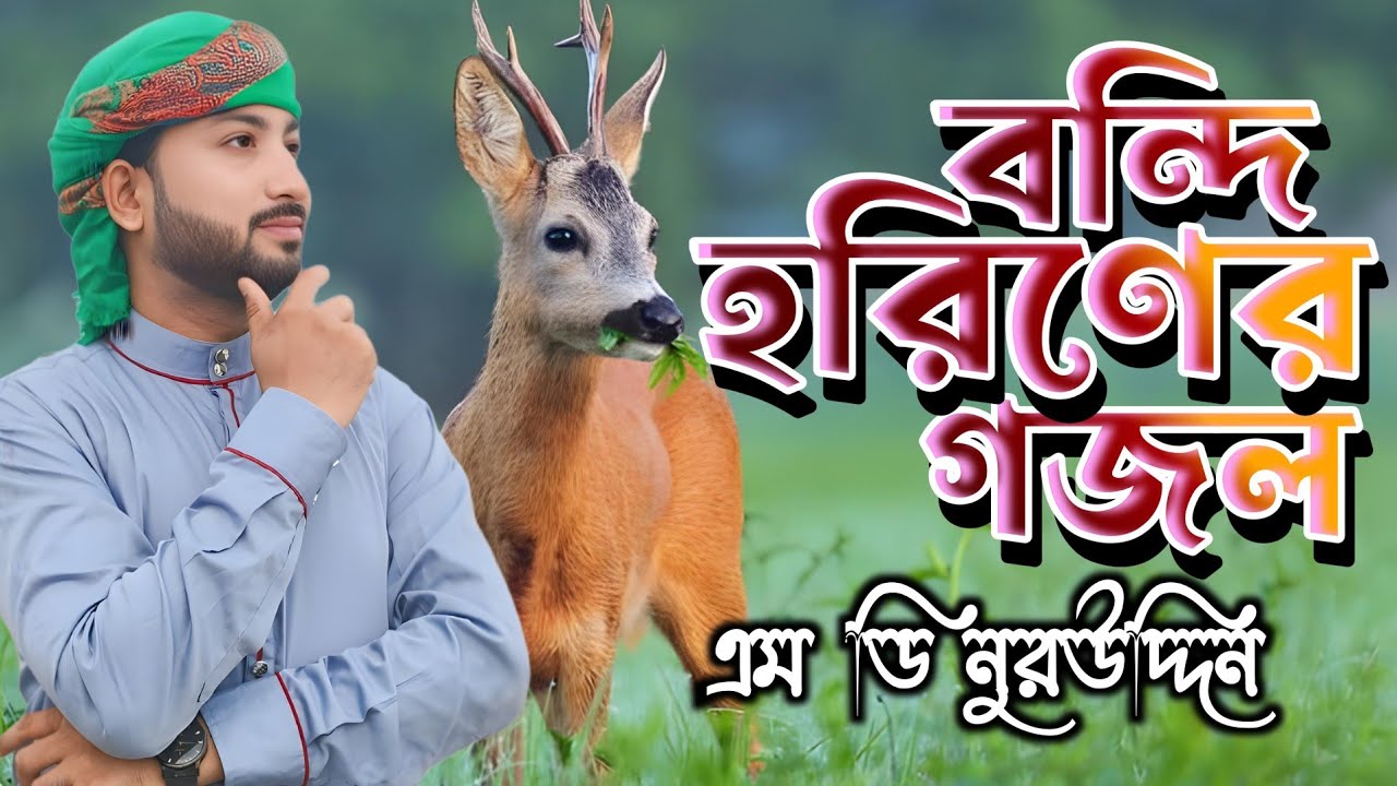 বন্দি হরিণের গজল। এম ডি নুরউদ্দিনের গজল। bangla gojol 2024, bhalo gojol, Islamic gazal, md nuruddin