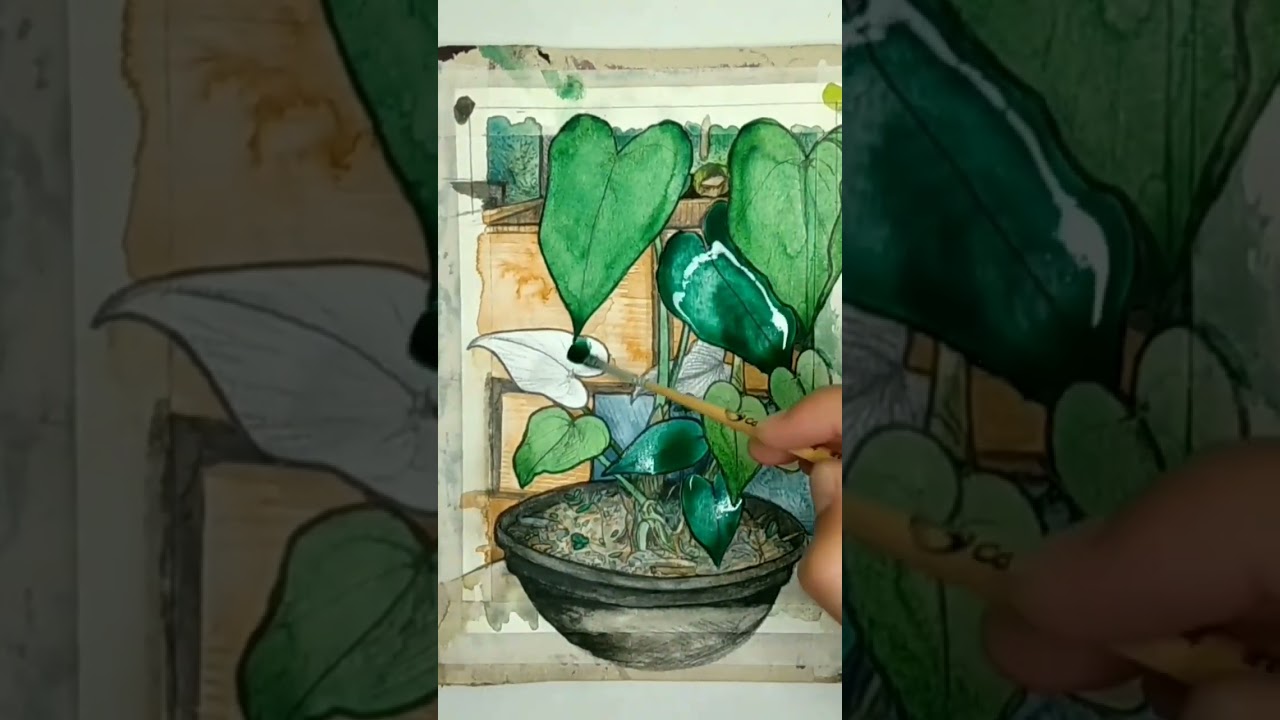 #pintura #aquarela Anthurium #watercolorillustration #watercolor_art #watercoloring @mulellos