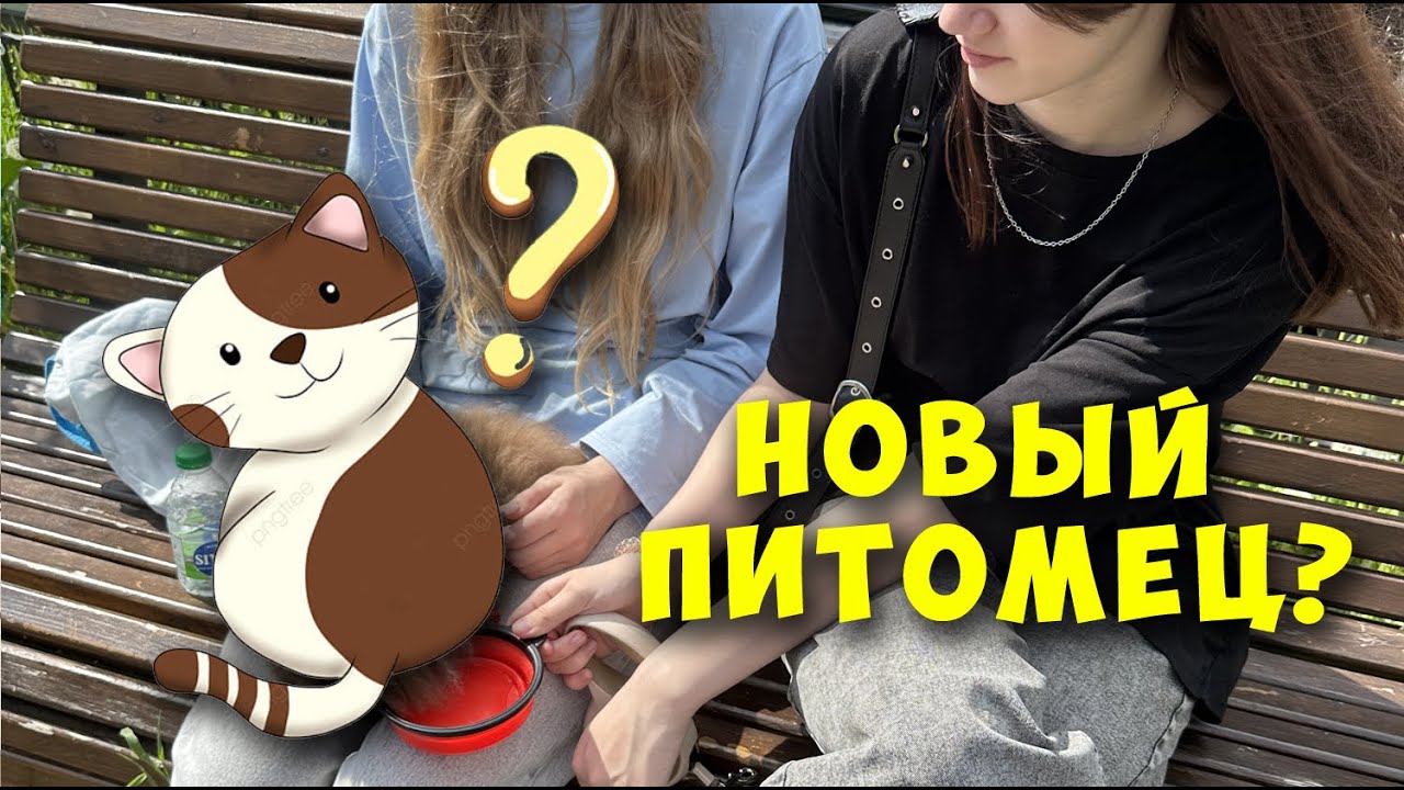 Влог. У нас новый питомец!?