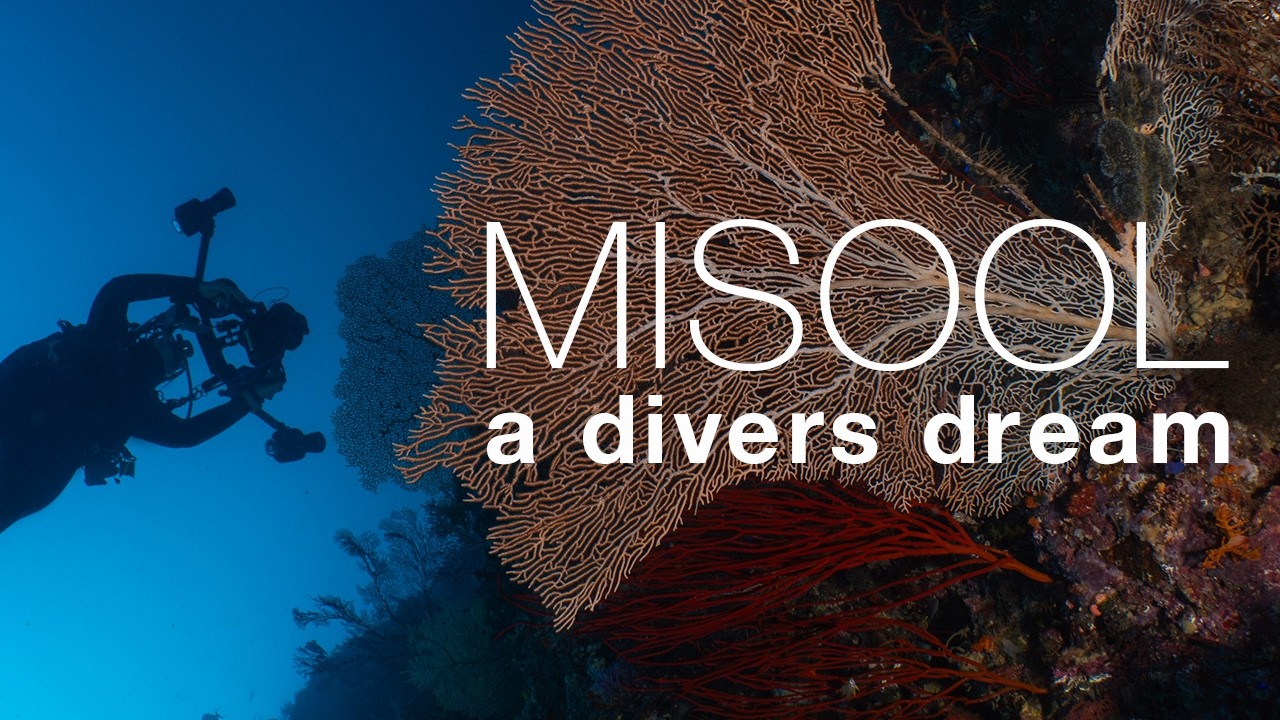 Misool | A Divers Dream