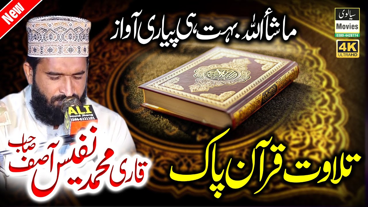 Ever Best Tilawat By Qari Nafees Asif | Heart Touching Voice REC Sialvi HD Movies