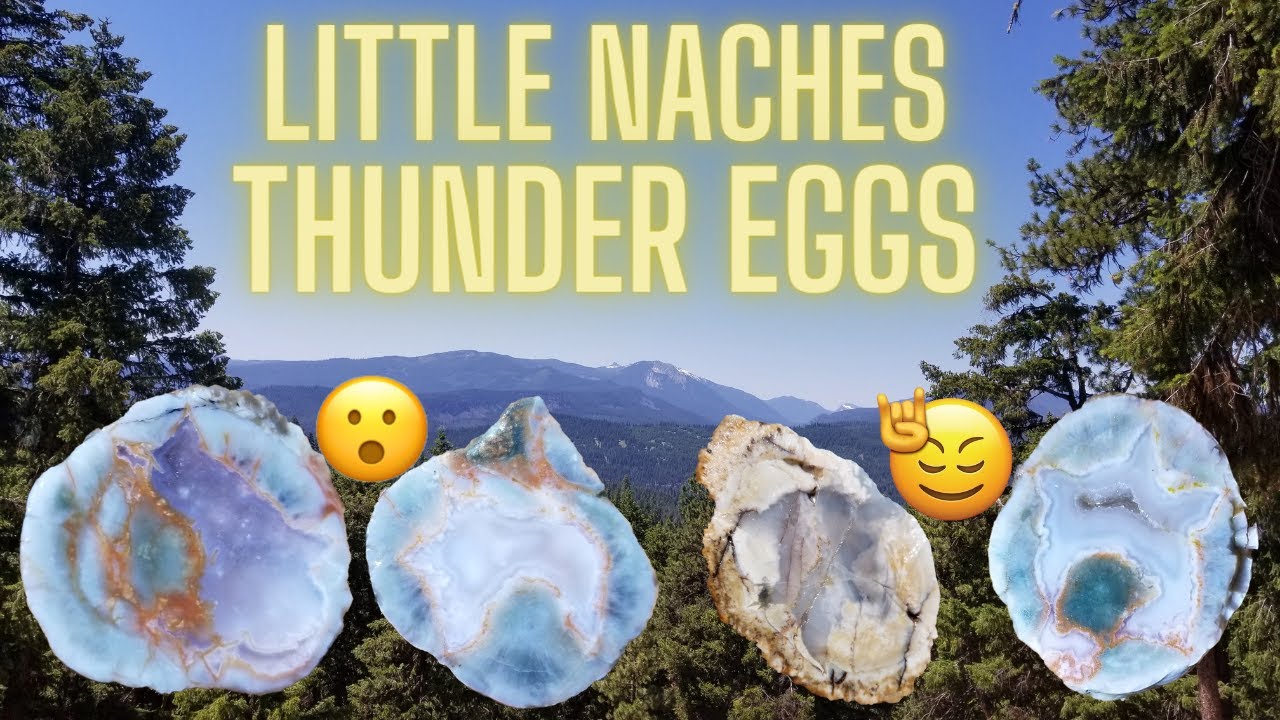 Little Naches Thunder Eggs with Currently Rockhounding and Ragnar Rocks #RAD #Thundereggs #Rockhound