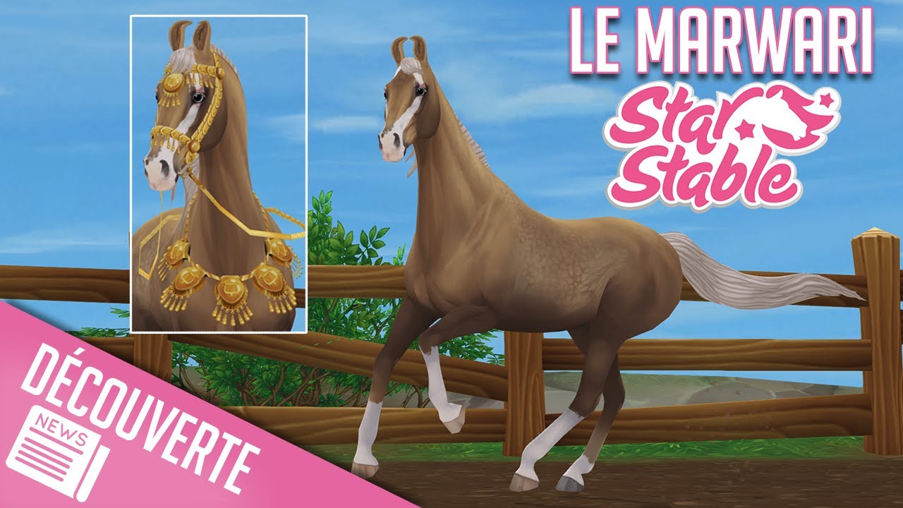 ACHAT DU MARWARI  | Star Stable - SSO