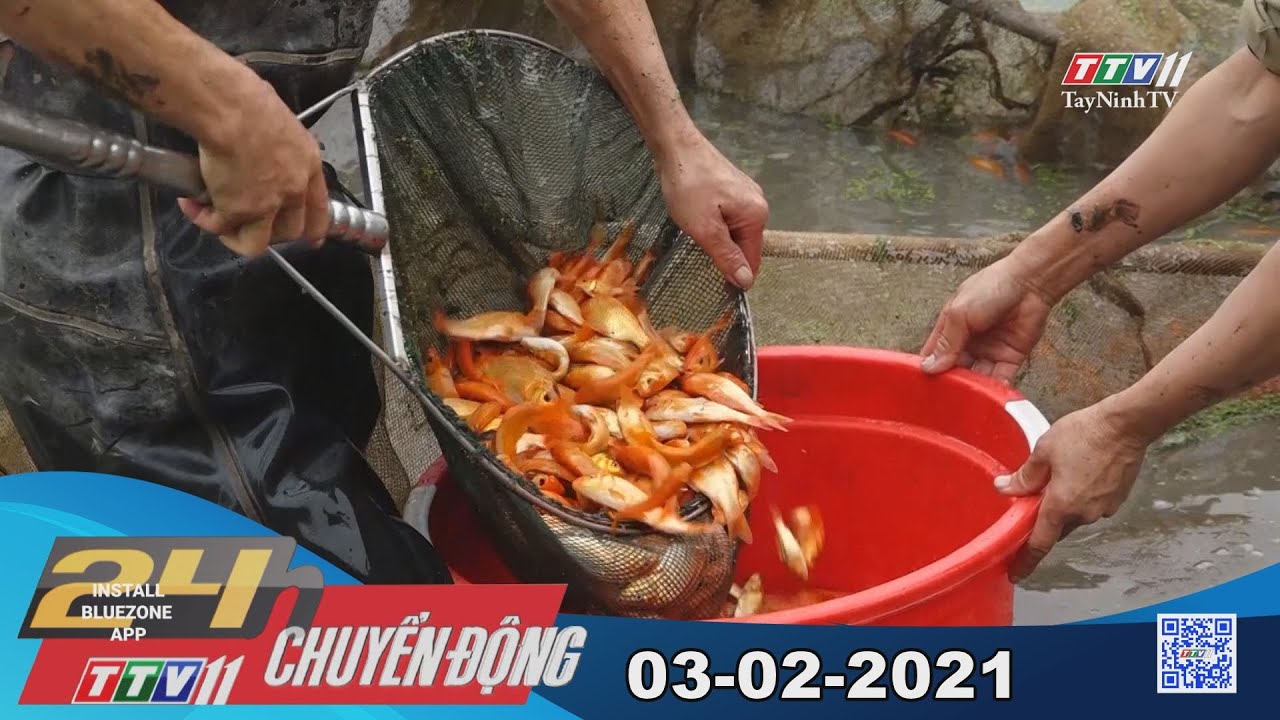 24h Chuyển động 03-02-2021 | Tin tức hôm nay | TayNinhTV