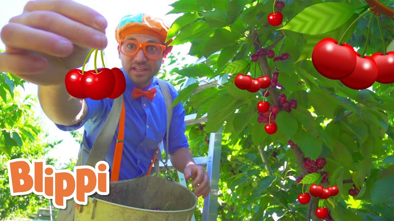 Blippi visita uma fazenda de cerejas | Melhores Episódios de @BlippiPortugues: Vídeos Educativos