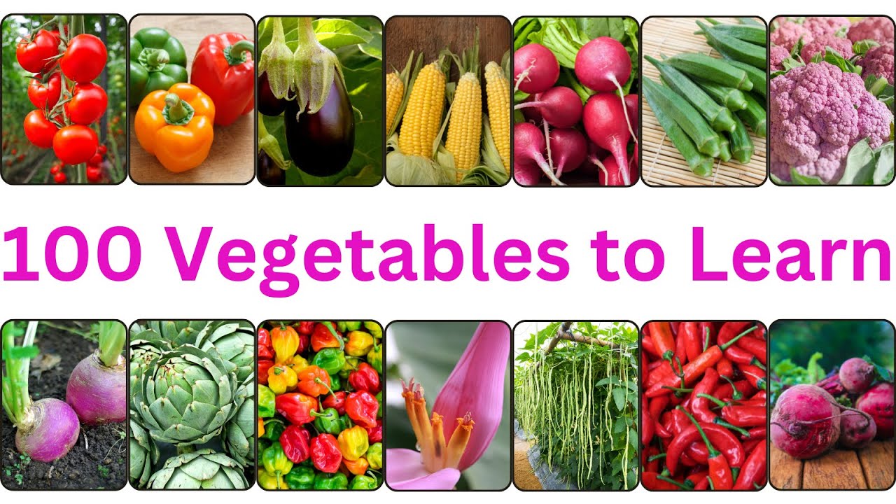 Discover 100 Must Know Vegetable Names