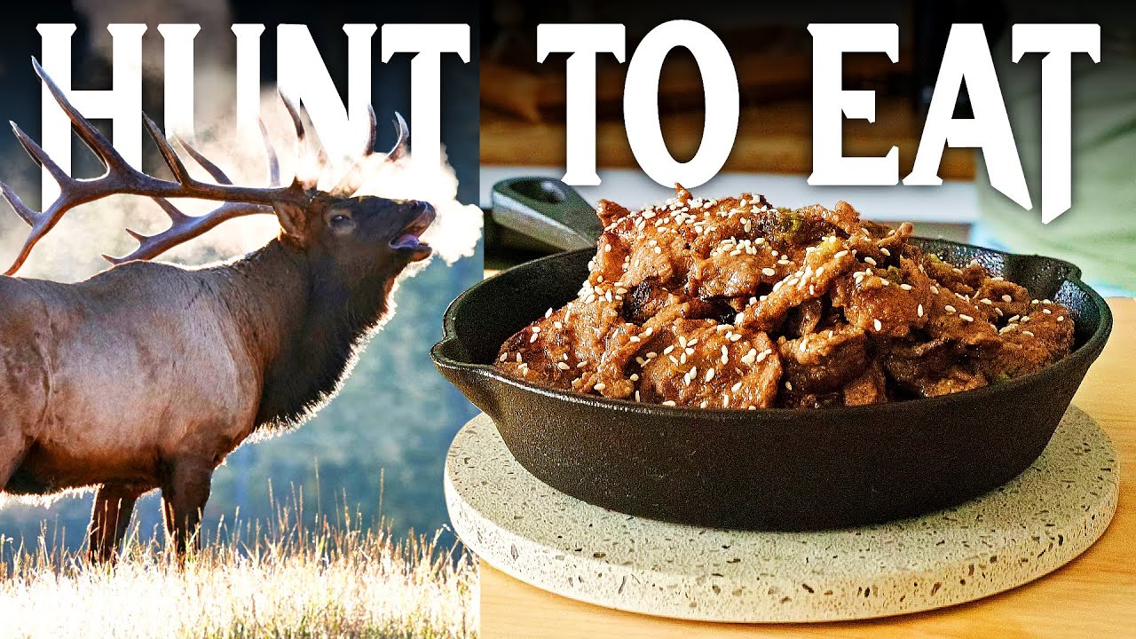 Korean BBQ Bulgogi... With VENISON??