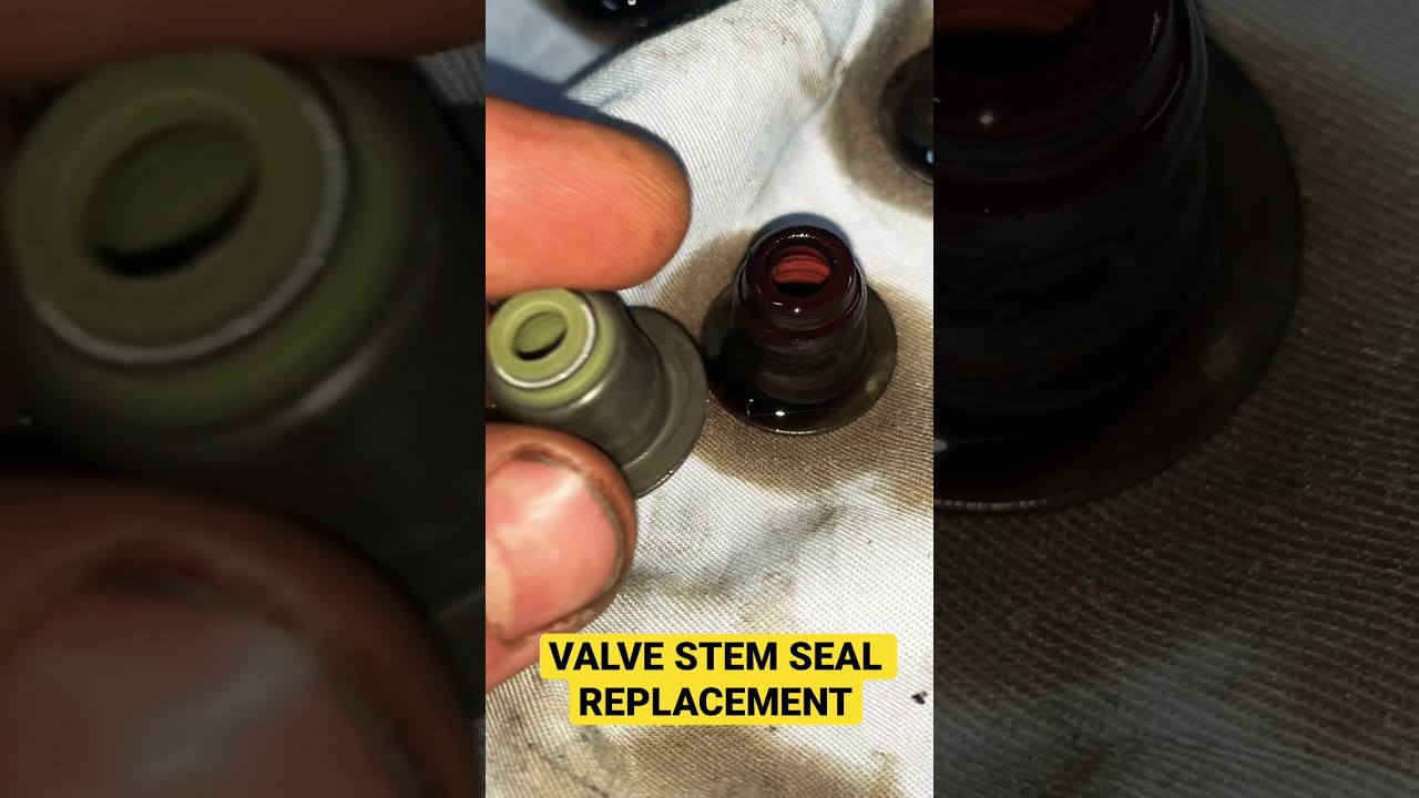 N42B20 valve stem seal replacement #shorts