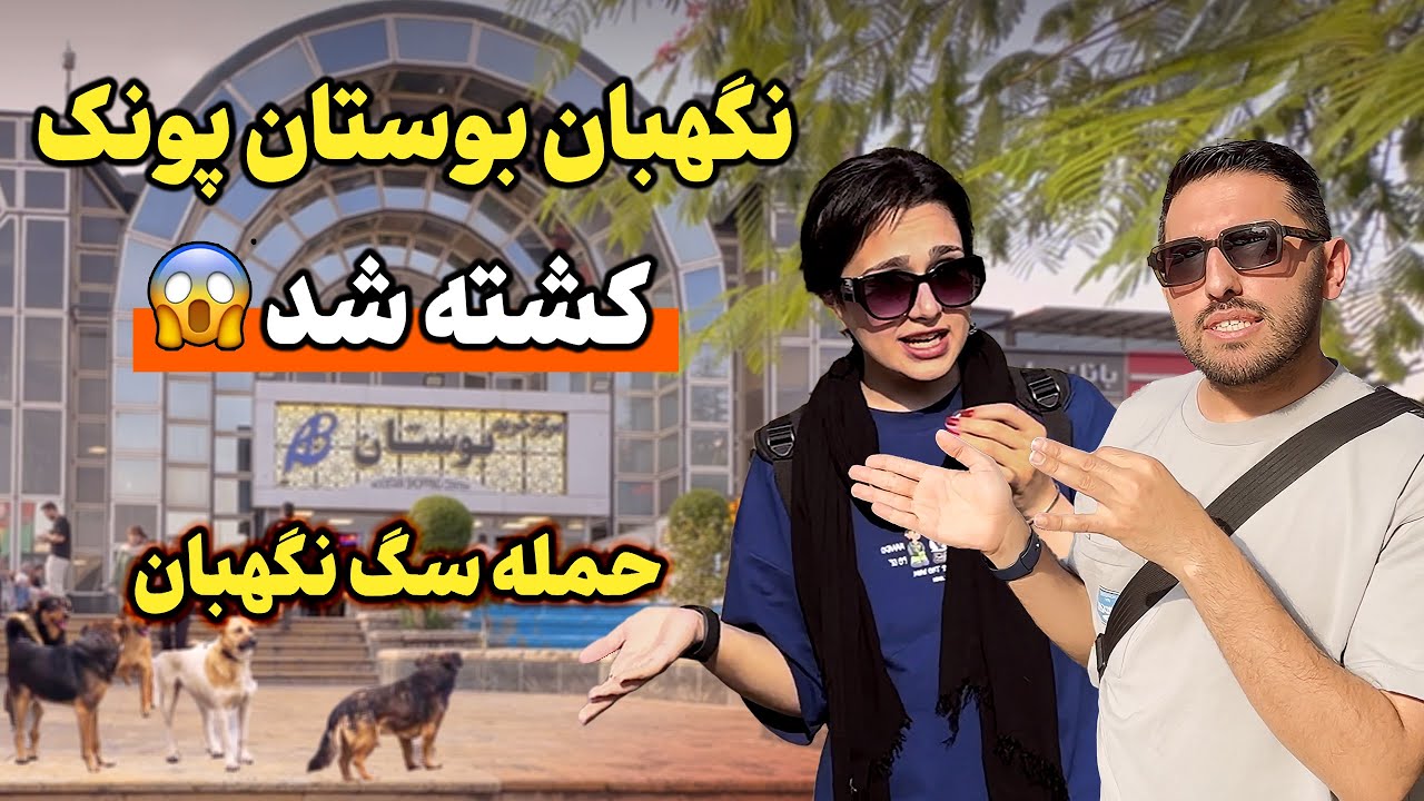 باورت میشه یک مرکز خرید در پونک بیش از ۱۰۰ سگ نگهبان داره؟ 🐕