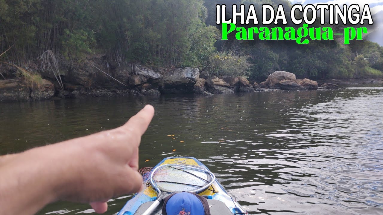  Impressionante A QUANTIDADE DE ROBALOS FLEXAS NESSE LUGAR - Estavam todos ali!!