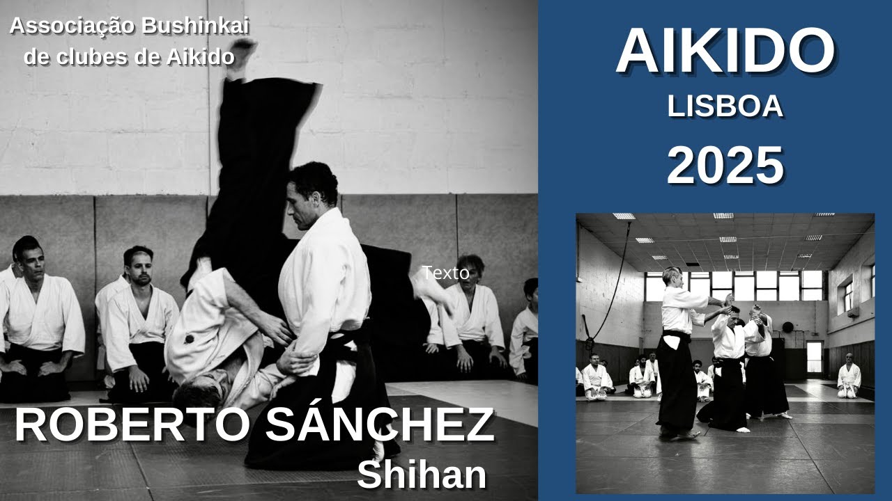 Roberto Sánchez Aikido. Curso Lisboa 2025