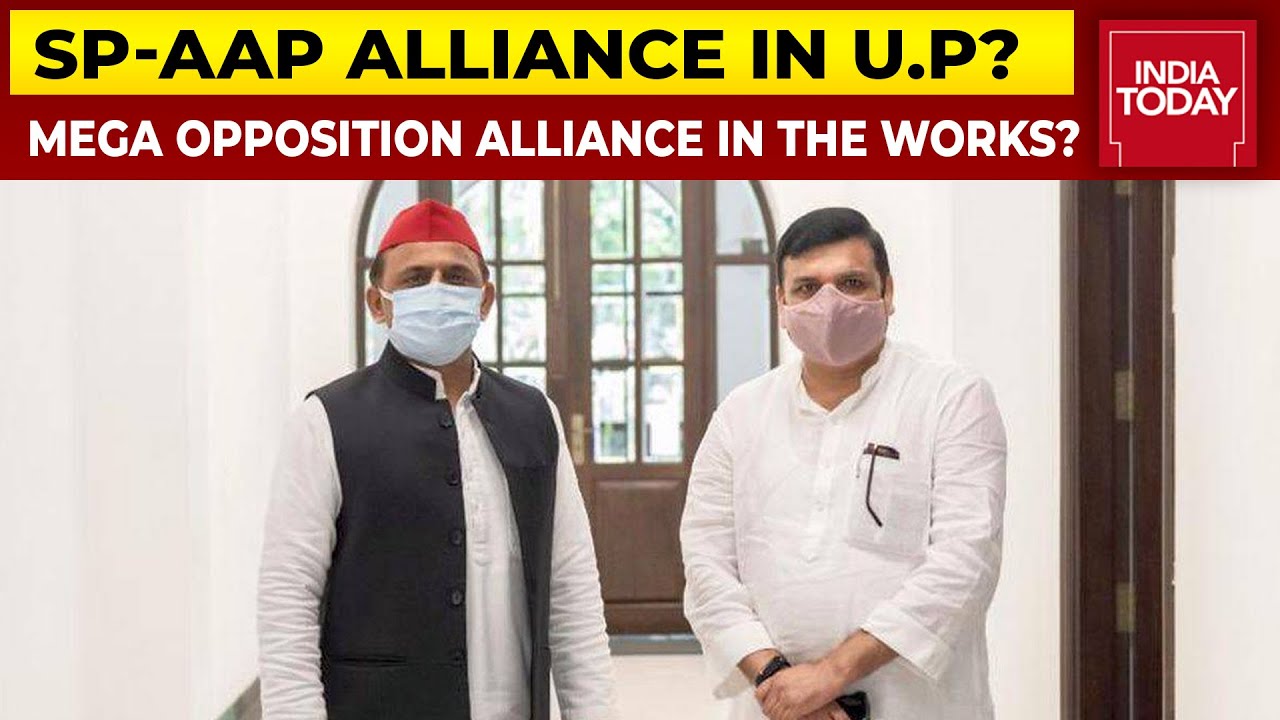 AAP, Samajwadi Party Likely To Forge Alliance 'To Free U.P. From BJP'; Seat-Sharing Talks Underway
