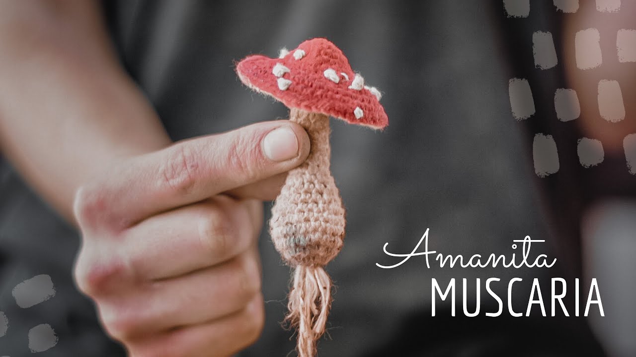 La Seta más hermosa en crochet | paso a paso