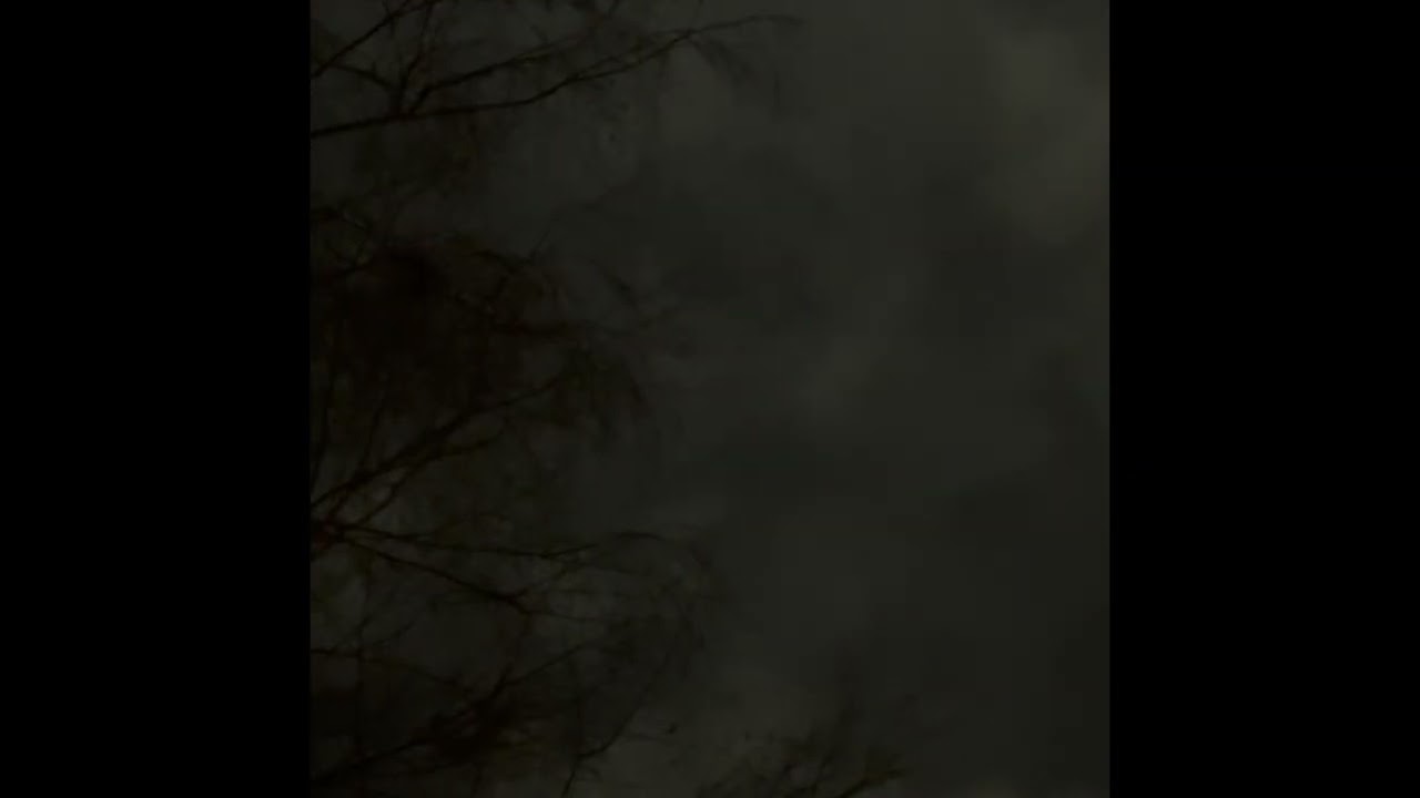 The cloudy night sky made the 7 or 8 orbs scattered around the sky pretty obvious! 